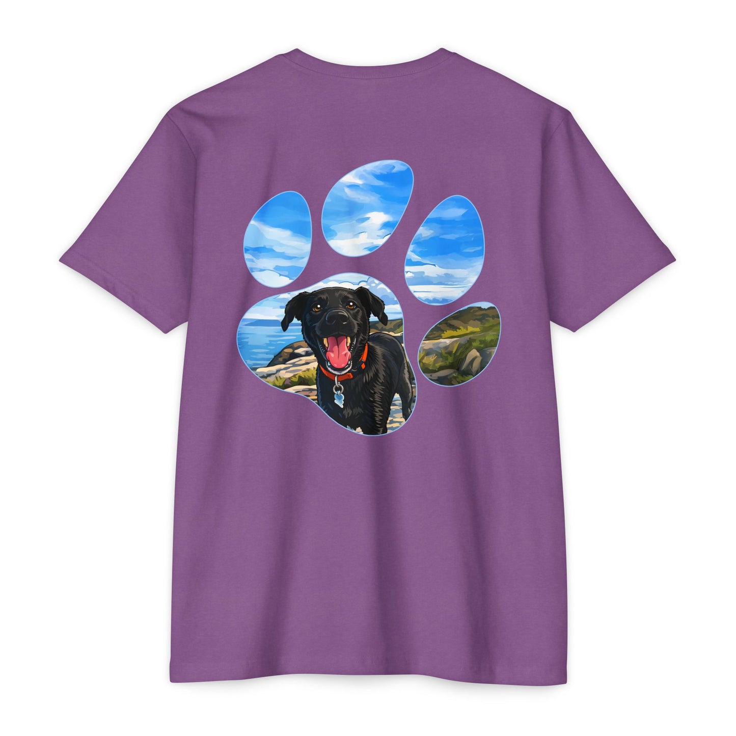 Team Roger Tee
