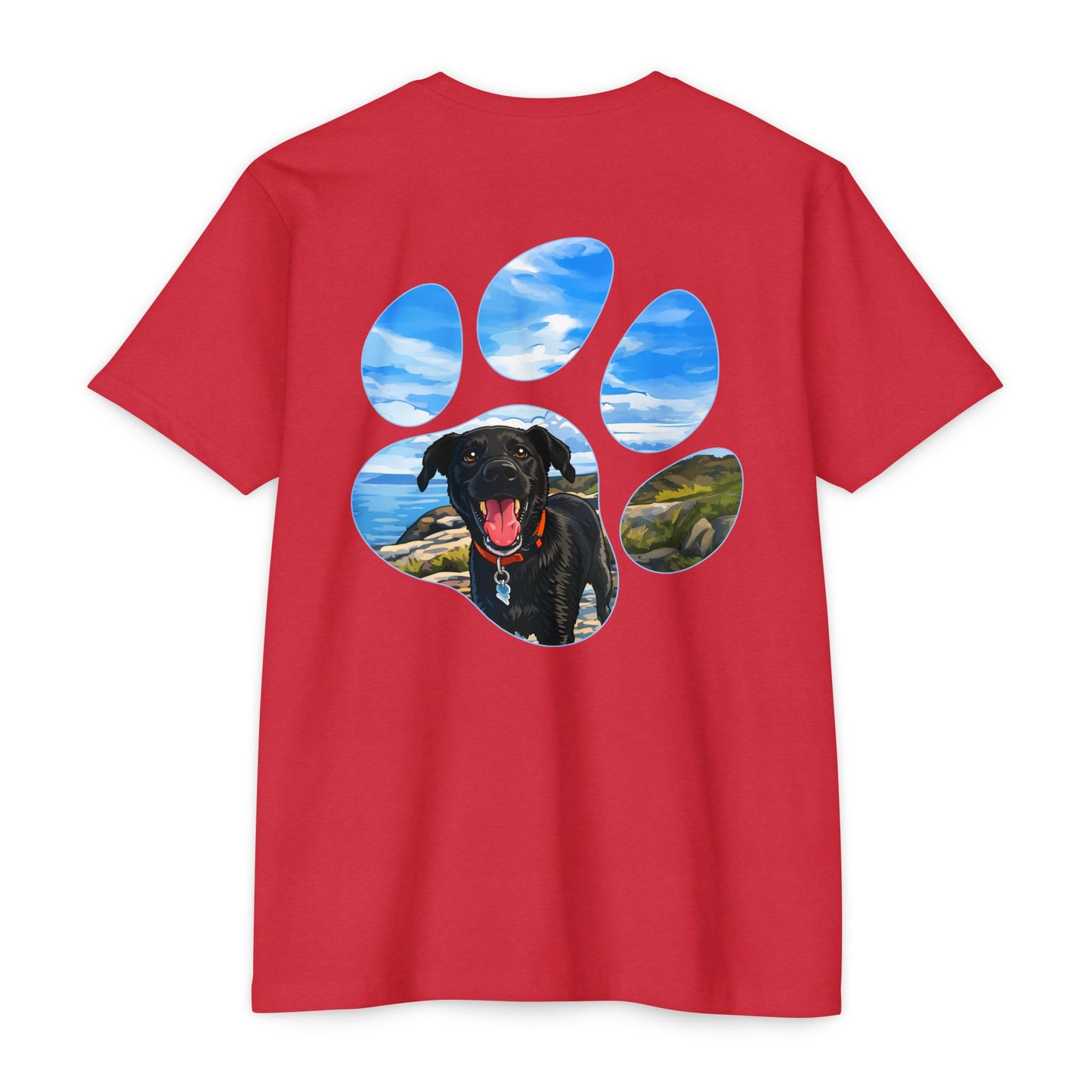 Team Roger Tee